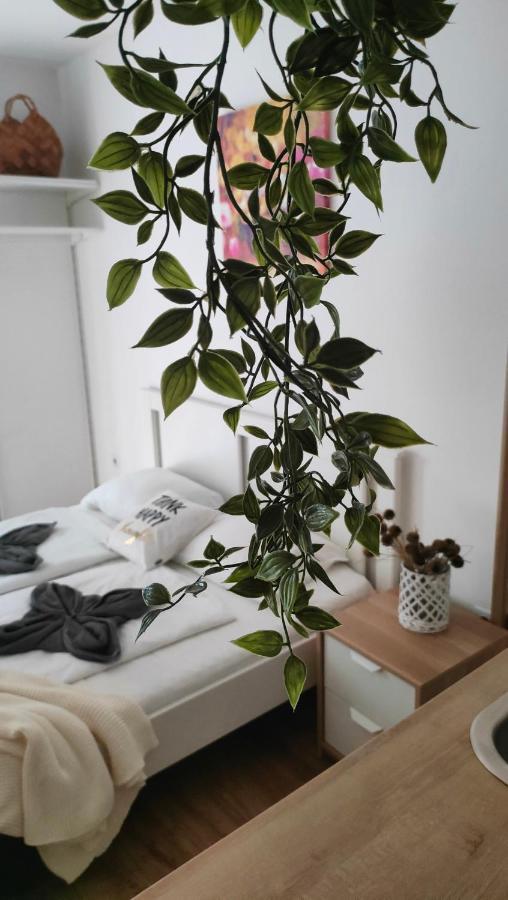 Super Cozy & Central Apartment Budapeste Exterior foto